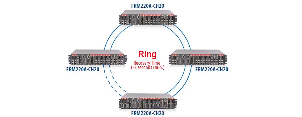 Enabling IP Transportation Protection Mechanism