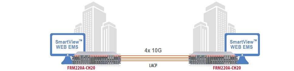 Agrégation de trafic activée LACP